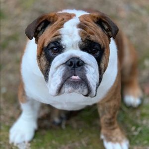 Meet your Posher, Mike